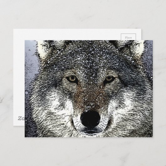 Wolf Eyes Postkarte (Vorne/Hinten)