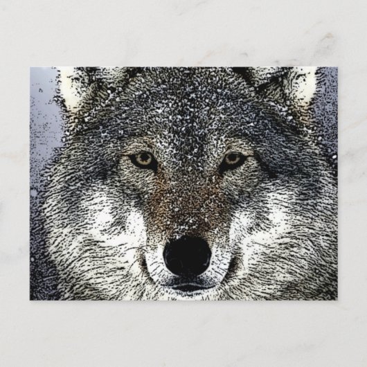 Wolf Eyes Postkarte (Vorderseite)