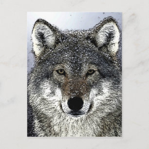 Wolf Eyes Postkarte