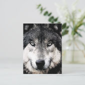 Wolf Eyes Postkarte (Stehend Vorderseite)