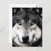 Wolf Eyes Postkarte (Vorne/Hinten)