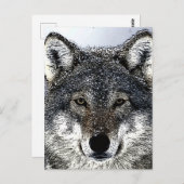 Wolf Eyes Postkarte (Vorne/Hinten)