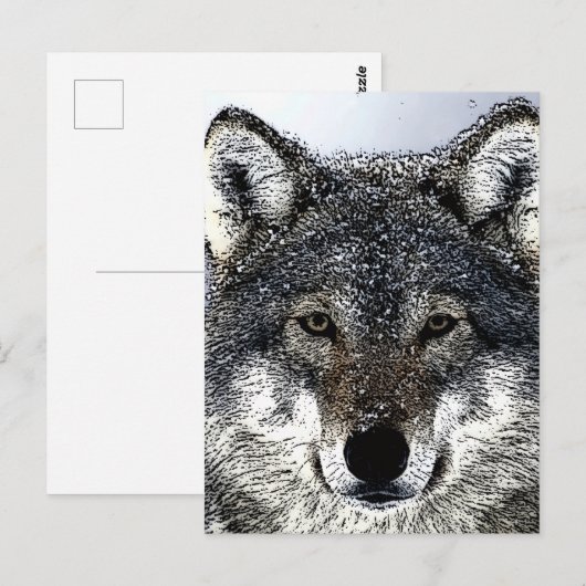 Wolf Eyes Postkarte (Vorne/Hinten)