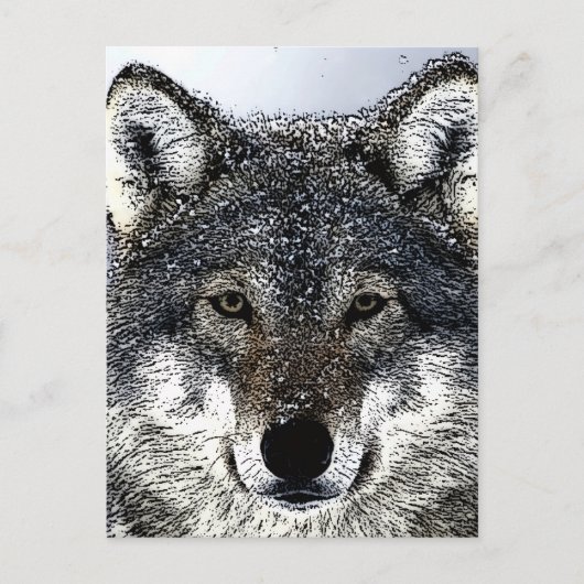 Wolf Eyes Postkarte (Vorderseite)