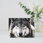 Wolf Eyes Postkarte (Stehend Vorderseite)