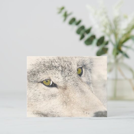 Wolf Eyes Postkarte (Stehend Vorderseite)