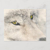 Wolf Eyes Postkarte (Vorderseite)