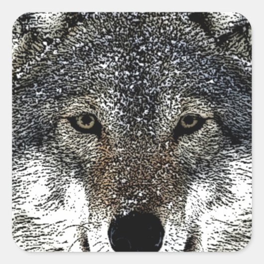Wolf Eyes Quadratischer Aufkleber (Vorderseite)