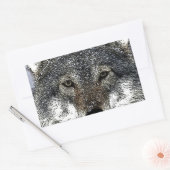 Wolf Eyes Rechteckiger Aufkleber (Umschlag)