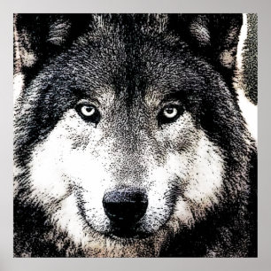 Wolf Eyes - Schwarz-Weiß-Wildtier-Kunstwerk Poster