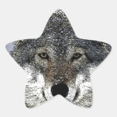 Wolf Eyes Stern-Aufkleber (Vorderseite)