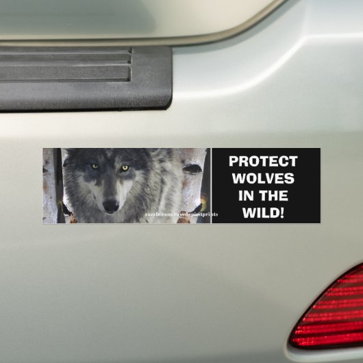 WOLF EYES Wildlife Conservation Autoaufkleber (Auf Auto)