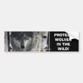 WOLF EYES Wildlife Conservation Autoaufkleber (Vorne)