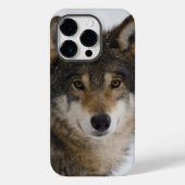 Wolf Face iPhone / iPad Gehäuse Case-Mate iPhone Hülle (Rückseite)