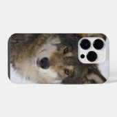 Wolf Face iPhone / iPad Gehäuse Hülle (Rückseite (Horizontal))