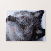 Wolf Face, Jigsaw Puzzle (Horizontal)