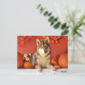 Wolf-Fall-Feiertags-Postkarte Feiertagspostkarte (Stehend Vorderseite)