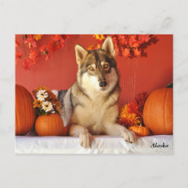 Wolf-Fall-Feiertags-Postkarte Feiertagspostkarte