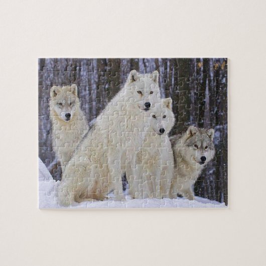 Wolf-Familie Puzzle (Horizontal)