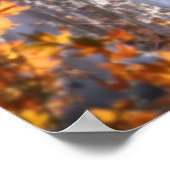 Wolf FAMILY AUTUMN Poster (Ecke)