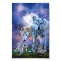 Wolf Family BESTER WORLD