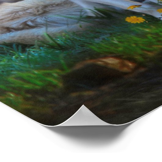 Wolf Family BESTER WORLD Poster (Ecke)