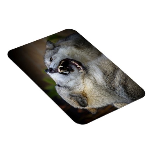 Wolf Fight Magnet (Rechte Seite)