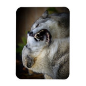 Wolf Fight Magnet (Vertikal)
