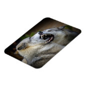 Wolf Fight Magnet (Linke Seite)