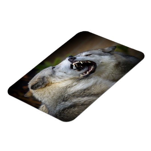 Wolf Fight Magnet (Linke Seite)