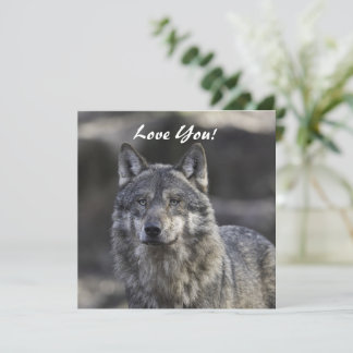 Wolf Flat Grußkarte Karte
