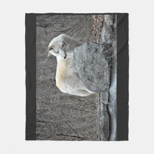 Wolf Fleecedecke (Vorderseite)