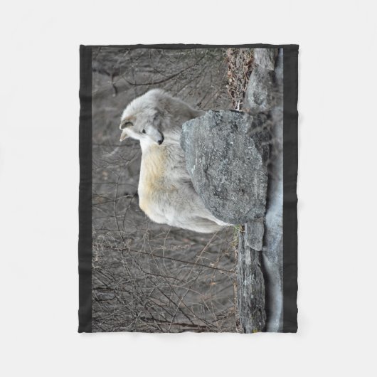 Wolf Fleecedecke (Vorderseite)
