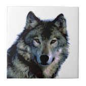 Wolf Fliese (Vorderseite)