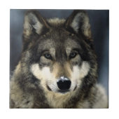 Wolf Fliese (Vorderseite)
