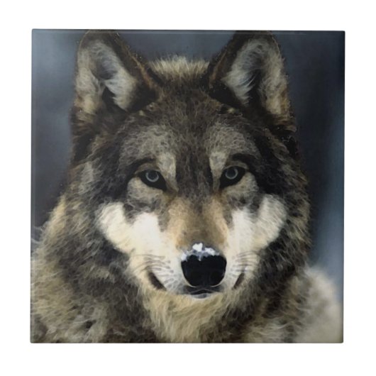Wolf Fliese (Vorderseite)