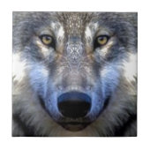 Wolf Fliese (Vorderseite)