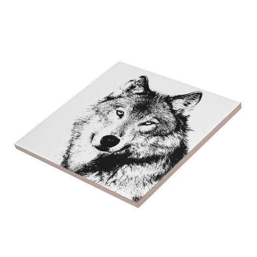 Wolf Fliese (Seite)