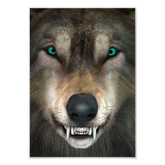 Wolf Fotodruck (Vorne)
