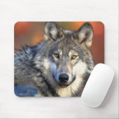 Wolf Fotograf Mousepad (Mit Mouse)