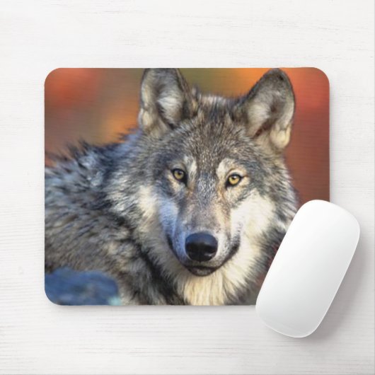 Wolf Fotograf Mousepad (Mit Mouse)