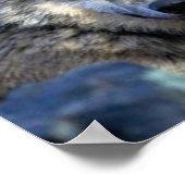 Wolf Fotograf Poster (Ecke)