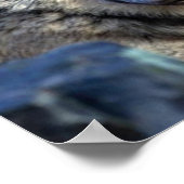 Wolf Fotograf Poster (Ecke)