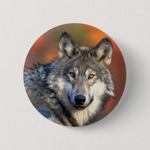 Wolf-Fotografie Button