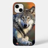 Wolf-Fotografie Case-Mate iPhone Hülle (Rückseite)