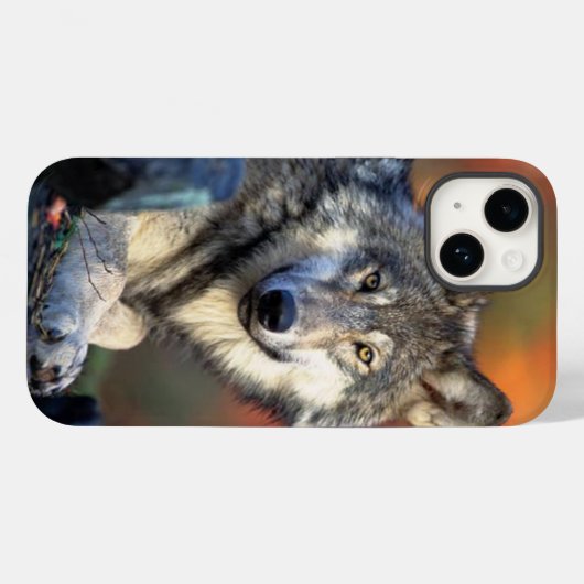 Wolf-Fotografie Case-Mate iPhone Hülle (Rückseite (Horizontal))