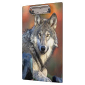 Wolf-Fotografie Klemmbrett (Links)