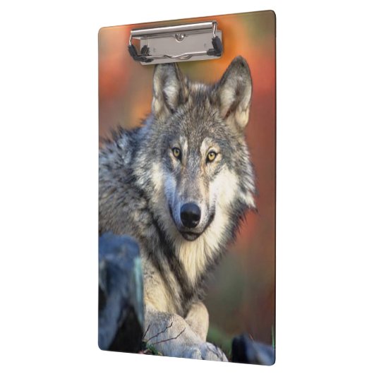 Wolf-Fotografie Klemmbrett (Links)