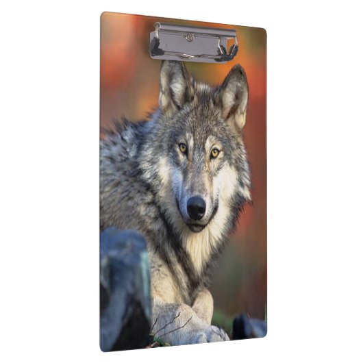 Wolf-Fotografie Klemmbrett (Rechts)