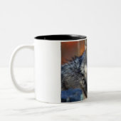 Wolf-Fotografie Zweifarbige Tasse (Links)